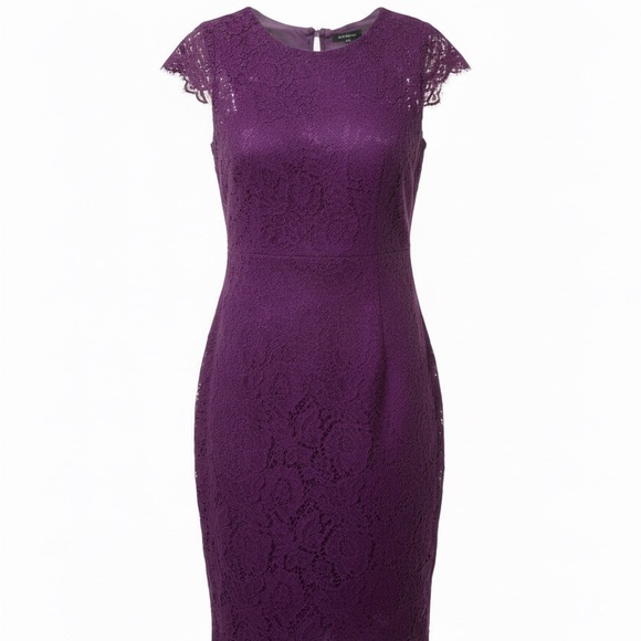 Elegant Purple Lace Lined Dress - Picture 1 of 3
